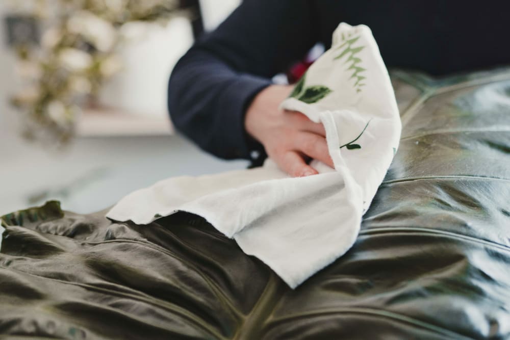 A man using a dust cloth to wipe dust from a large indoor plant leaf